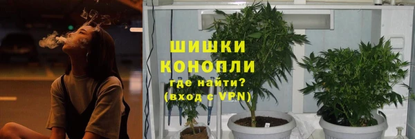 MESCALINE Заводоуковск
