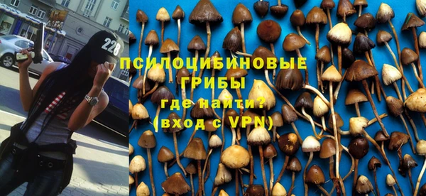 тгк Заволжск