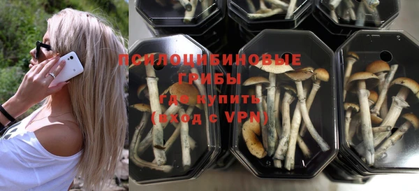 MESCALINE Заводоуковск